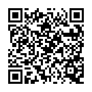 QR:  شابلون سیلور EasyFix Silver Ipad 6/Mini4/Air2 EF-104