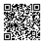 QR:  شابلون طبقات آیفون Wylie iphone 11