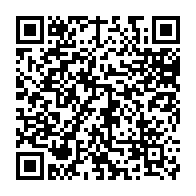 QR:  شابلون چندمنظوره G1034 مناسب آی سی های برد گوشی موبایل شیائومی 4