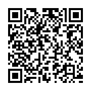 QR:  شابلون چند منظوره A115 مناسب تعمیرات برد گوشی موبایل
