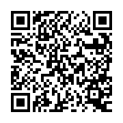 QR:  شابلون A10 سیلور EasyFix Silver EF-10