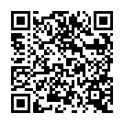 QR:  شابلون A8 سیلور EasyFix Silver EF-08