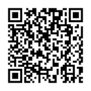 QR:  شابلون AMAOE LG2 مناسب آی سی گوشی ال جی