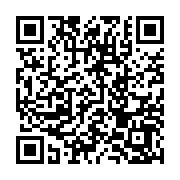 QR:  شابلون IC آمویی Amaoe مدل Ipad3-4