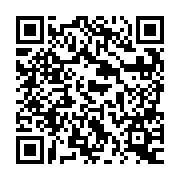 QR:  شابلون IC آمویی Amaoe مدل IPAD6/MINI4
