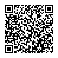 QR:  شابلون W206 آی سی MT6227N مناسب تعمیرات گوشی موبایل