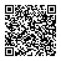 QR:  شابلون WYLIE IPAD/MINI2,3,4 مناسب پایه سازی آی سی های برد IPAD