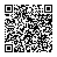 QR:  شابلون WYLIE WL-63 مناسب پایه سازی برد گوشی موبایل