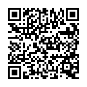 QR:  مولتی متر FLUKE 15B MAX (پراب اصلی فلوک )