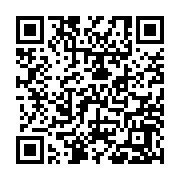 QR:  نوک هویه سرکج QIANLI 936 0.3 MM PLUS