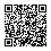 QR:  نوک هویه سر صاف PPD WONENGESD V12 I