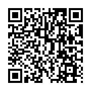 QR:  هویه دو قلو دو دسته 210-115 AIFEN-A902