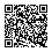 QR:  پک دسته تیغ Amaoe A1 single (دو دسته تیغ+دو تیغ)
