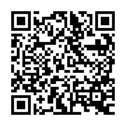 QR:  پیچ گوشتی چهارسو QIANLI ITHOR 2.5D 2D