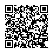 QR:  تی شرت آستین بلند زنانه طرح خرس کد X12