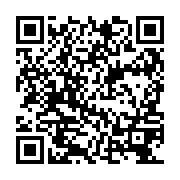 QR:  تی شرت آستین کوتاه زنانه مدل کتونی گربه F1486