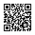 QR:  کارواش دینامی دینگی مدل 106005