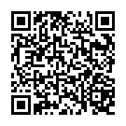 QR:  پالت سایه چشم دودو گرل مدل B3 شماره 02