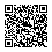 QR:  برس آرایشی مدل براش یونیکورن پری دریایی مویی و بسیار نرم مجموعه 4 عددی