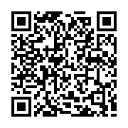 QR:  پالت رژ لب جامد آرت‌اسکین مدل لیپ گلوس شماره 02