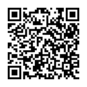 QR:  پالت سایه چشم دودو گرل شماره 02