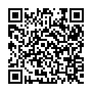 QR:  پالت سایه چشم دودو گرل مدل B3 شماره 02