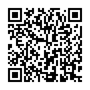 QR:  میکروفن کندانسر یانمای مدل Q9 PLUS