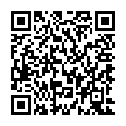 QR:  قاب دور کیبورد لپ تاپ لنوو Lenovo G50-70 نقره ای