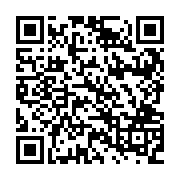 QR:  جا قاشقی مسی مدل الماس تراش آب نقره