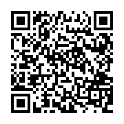 QR:  شکلات‌خوری مسی نقره‌کوب هامون سایز 2