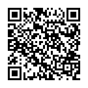 QR:  شکلات‌خوری مسی نقره کوب هامون سایز 1