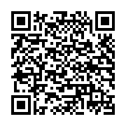 QR:  شکلات خوری مسی هما آب نقره