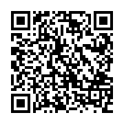 QR:  پیش دستی مسی نقره کوب طرح هاله