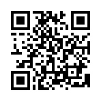 QR:  کارت حافظه میکرو 128 گیگابایت سندیسک Sandisk micro 128Gb C10