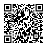 QR:  دستبند زنانه پاندورا dzp70020 موژان حیدری