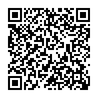 QR:  دستبند چرمی چند لاین زنانه کد dsc10012 گالری موژان حیدری
