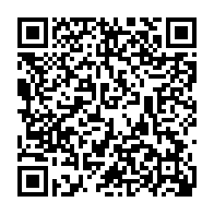QR:  دستبند چرمی چند لاین زنانه کد dsc10016 گالری موژان حیدری