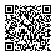 QR:  گوشوار فانتزی کد gf10029 گالری موژان حیدری