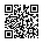 QR:  گردنبند استیل لویی ویتون کد st2310