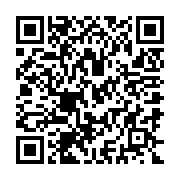 QR:  تیشرت شلوارک دخترانه جغد در سایز های 35 و 40 و 45 کد 226