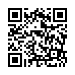 QR:  Burberry Bag