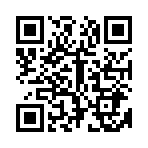 QR:  Burberry Sneakers