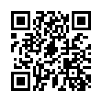 QR:  Dior Pointed Pumps