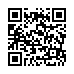 QR:  Dior Pumps