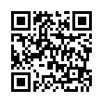 QR:  Fendi Bag