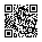 QR:  Hermes Togo Birkin Bag