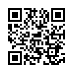 QR:  Kate Spade Bag