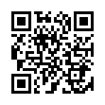 QR:  Louis Vuitton Alma BB