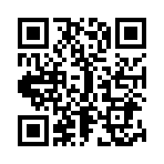 QR:  Sergio Rossi Espadrille Wedges