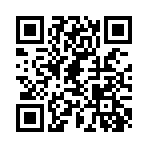 QR:  Tods Loafers